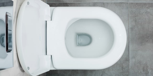 Toilet bowl