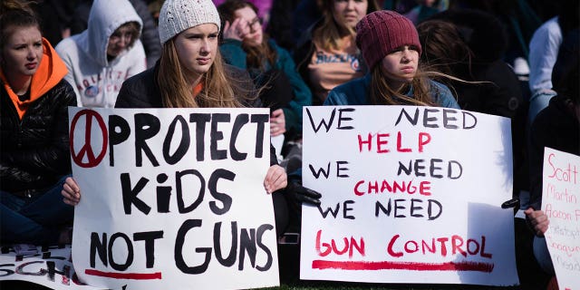 MCLEAN, VA - MARCH 14: Virginia students, mostly from McLean High School participated in a rally against gun violence on Wednesday morning March 14, 2018 at Lewinsville Park in McLean, VA on the day of the National School Walkout. Sisters, Rachel McCollough, left, and Easton McCollough, both 15 and 10th graders at McLean High School, sat in the front row of the rally.