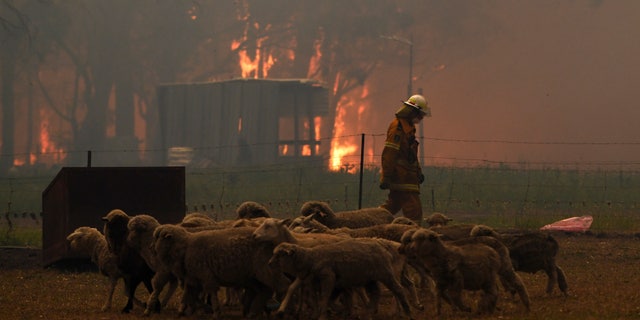 Australia's most populous state of New South Wales declared a seven-day state of emergency Thursday as oppressive conditions fanned around 100 wildfires.