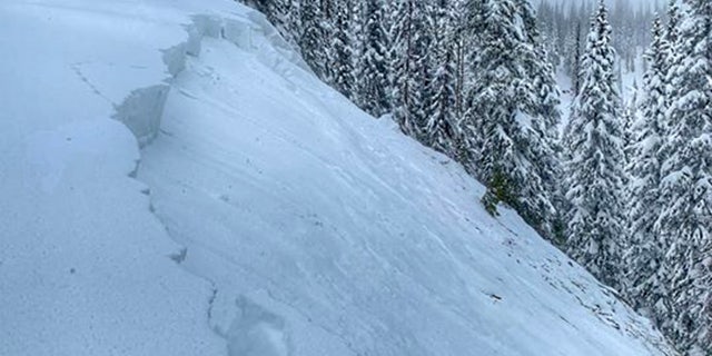 The Colorado Avalanche Information Center has said that new snow has increased avalanche danger across Colorado's Front Range.