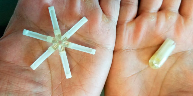 This undated photo provided by MIT/Langer Lab shows a star-shaped gastric resident dosage form of birth control that can be folded into a standard capsule and orally ingested. The dosage form resides in the stomach for up to a month where it releases the contraceptive drug.