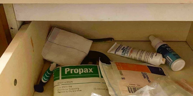 The eastern brown snake was found in the top drawer of the bathroom vanity. (Sunshine Coast Snake Catchers)