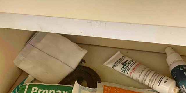 The eastern brown snake was found in a bathroom vanity.