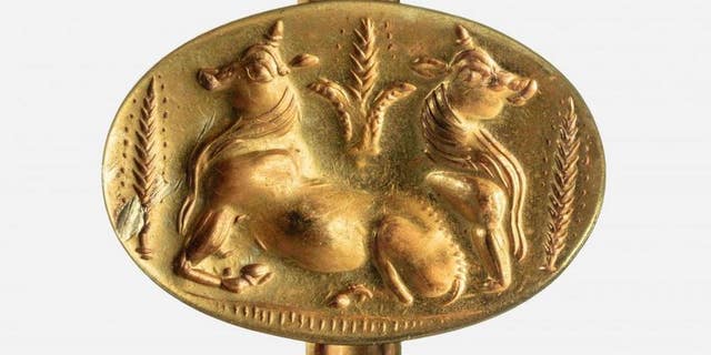 A gold ring depicts bulls and barley, the first known representation of domesticated animals and agriculture in ancient Greece.