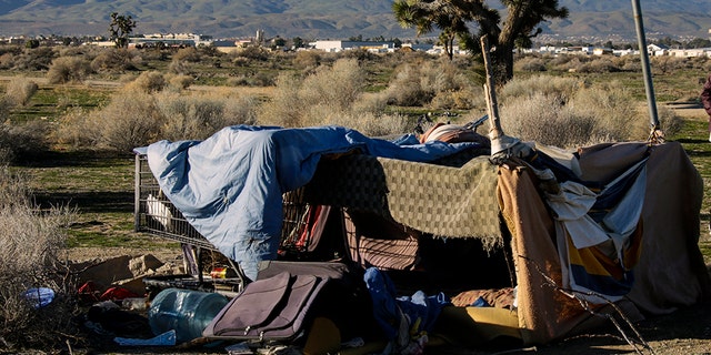 LANCASTER, CA - JANUARY 28: Derrick Chambers checks out a homeless encampment in an open area of Southern part of Lancaster while documenting their number in the area. (Photo by Irfan Khan/Los Angeles Times via Getty Images)