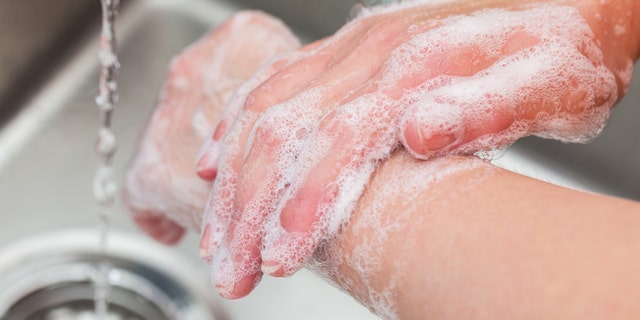 The children quickly learned the importance of keeping their hands washed. (iStock)