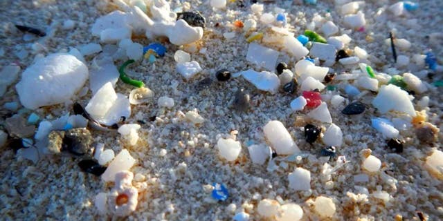 Plastic waste on shore. (NOAA)