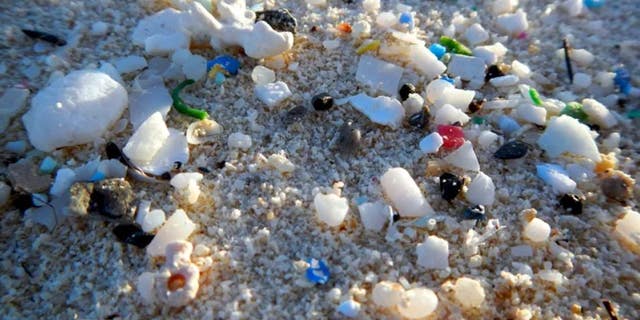 Plastic waste on the shore. (NOAA)