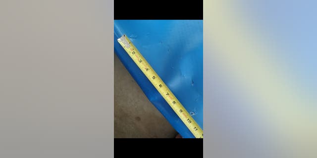 Larry Oberto of Hawaii was stand-up paddleboarding off Kihei, on the west coast of Maui, when a 10-12-foot-long tiger shark bit his inflatable board.