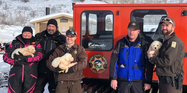 The Weber County Sheriff’s Office Search and Rescue team was informed by Utah State Park officials that the pair was asking for help in recovering the stranded animals, which were later identified as three Great Pyrenees puppies.