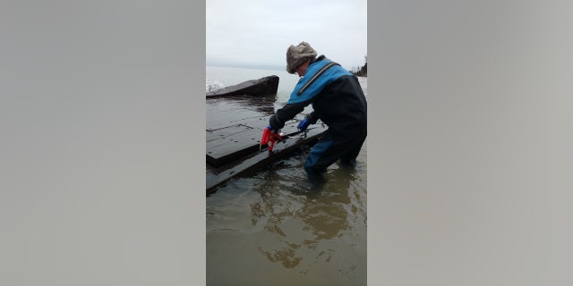 Experts were called in to examine the wreck - file photo.