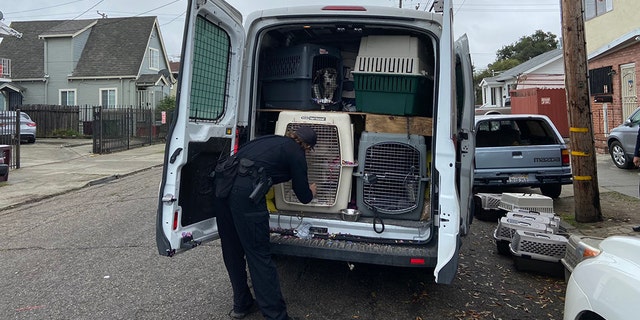 A stolen van with dozens of dogs inside was recovered in Oakland on Monday morning.