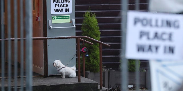 It's not clear how many dogs actually got inside voting booths, as the electoral commission says only assistance dogs are typically allowed inside.