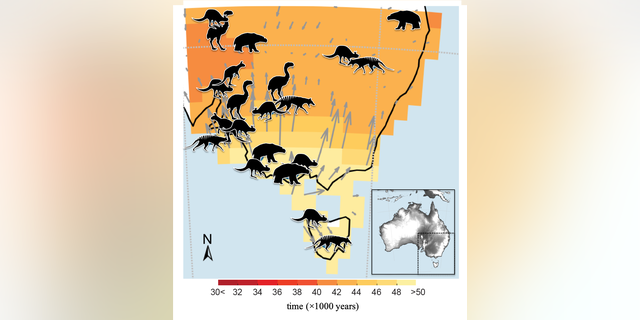 (Credit: Centre of Excellence for Australia Biodiversity and Heritage)