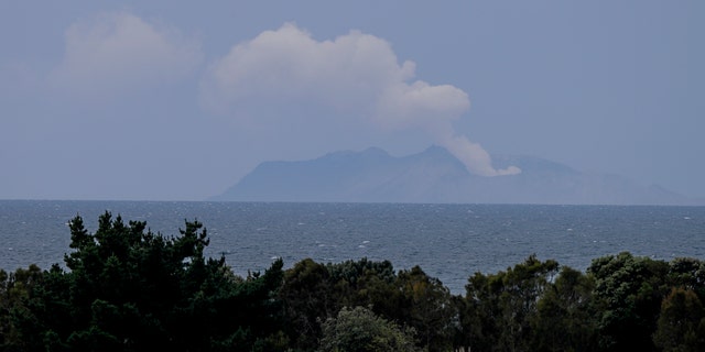 Plumes of steam rise above White Island off the coast of Whakatane, New Zealand, Wednesday, Dec. 11, 2019.