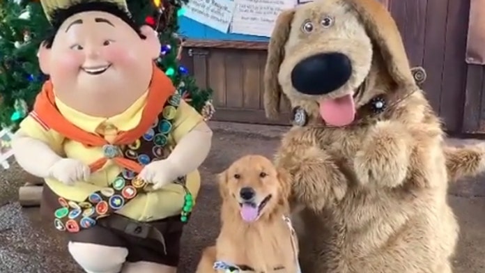 fox news spike service dog