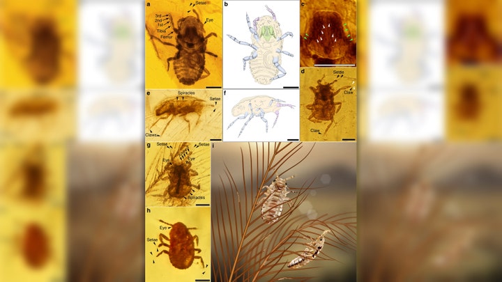 Fox News Flash top headlines for Dec. 11