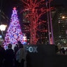 People gather around the Christmas tree in FOX Square before sunrise in New York City.