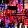 A goose is silhouetted by Christmas lights reflected on a pond in Lenexa, Kansas, Dec. 12, 2019.