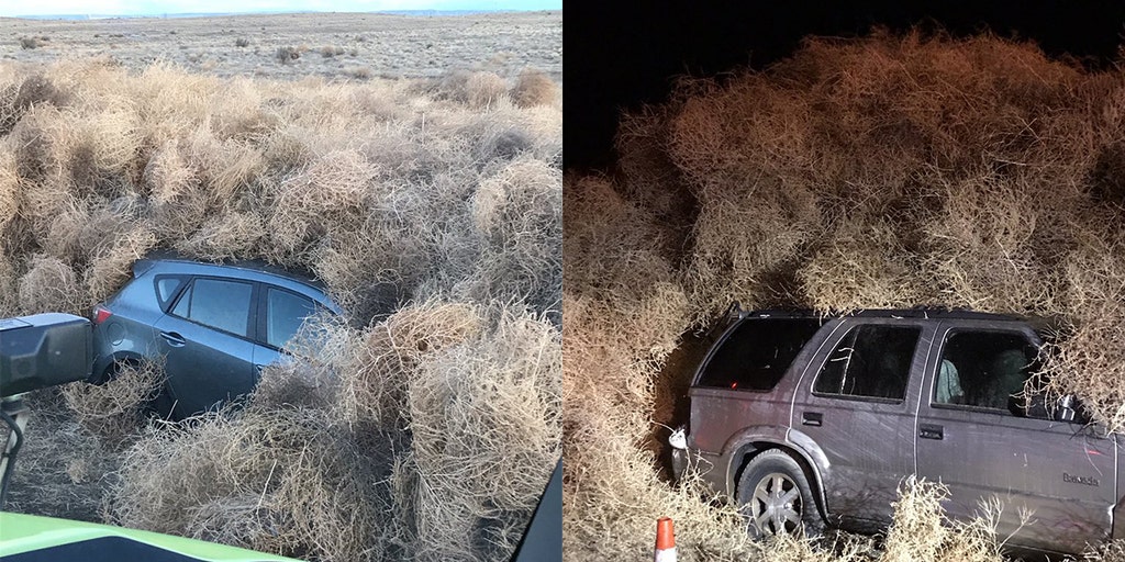 Monster Tumbleweeds Are Trapping People in Cars and Homes - Sunset