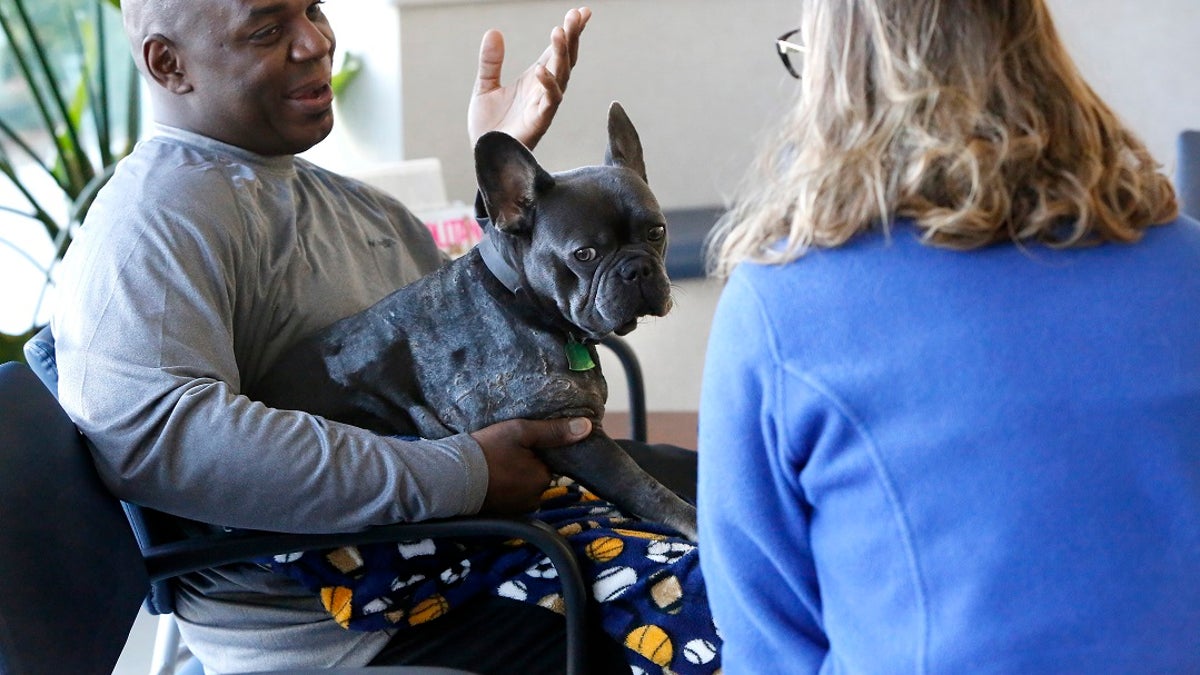 Gerald Ford holds his dog Neo, a French bulldog, as he talks with Dr. Kathleen Temple, who was the doctor that lead the team that revived Neo,a t the Small Animal Hospital in Gainesville, Fla. (Brad McClenny/The Gainesville Sun via AP)