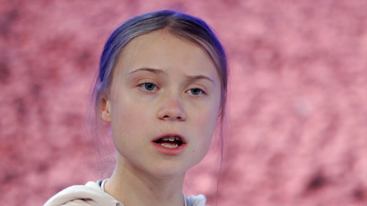 Swedish environmental activist Greta Thunberg addresses guests at the World Economic Forum in Davos, Switzerland.