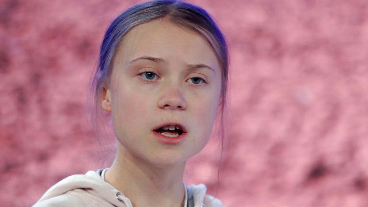 Swedish environmental activist Greta Thunberg addresses guests at the World Economic Forum in Davos, Switzerland.