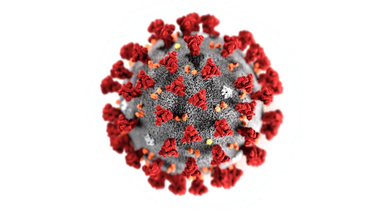 This illustration provided by the Centers for Disease Control and Prevention in January 2020 shows the 2019 Novel Coronavirus (2019-nCoV). 