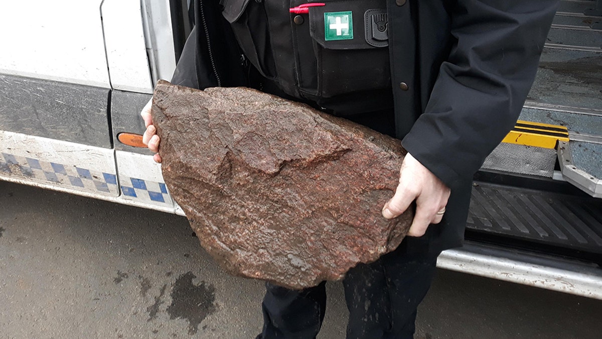The "heavy rock" that was tied to Bella that authorities found after the dog was rescued on Monday.