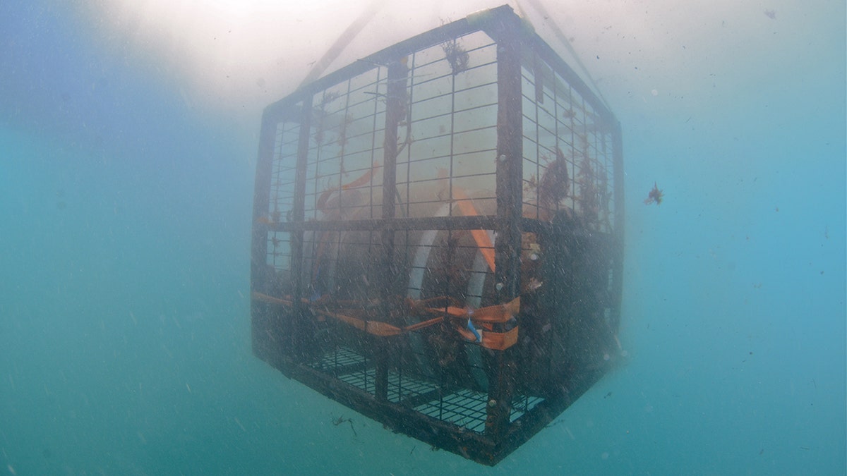 With the aid of a small crane, sealed crates containing hundreds of bottles of wine are lowered into the sea from the boat in the bay of the pretty town of Plentzia, in the Basque Country in northern Spain.