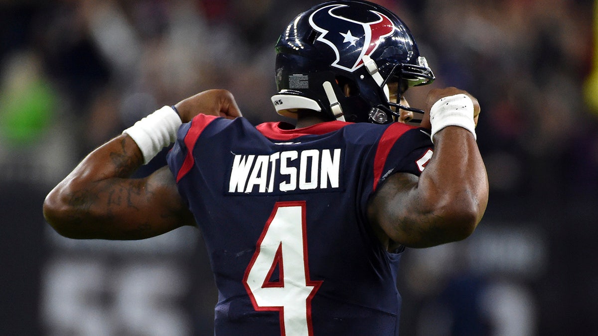 Deshaun Watson is the best hope for the Texans to win the AFC South again. (AP Photo/Eric Christian Smith)
