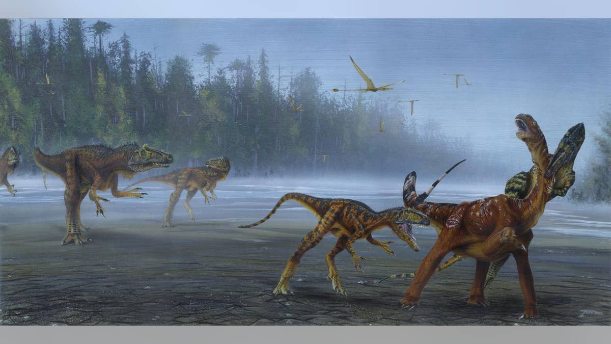 Illustration of Allosaurus jimmadseni attacking a juvenile sauropod. (Todd Marshall)