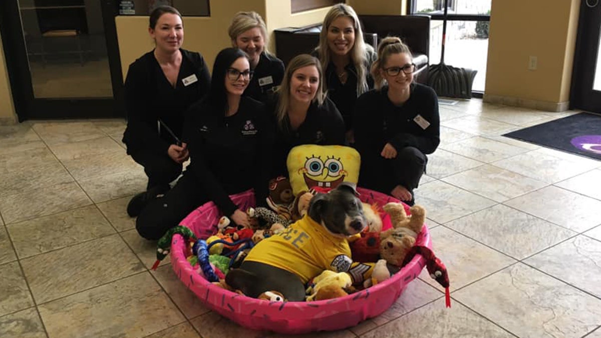 Eddie lounges while surrounded by toys and police officers during his day as an honorary K-9 police dog.