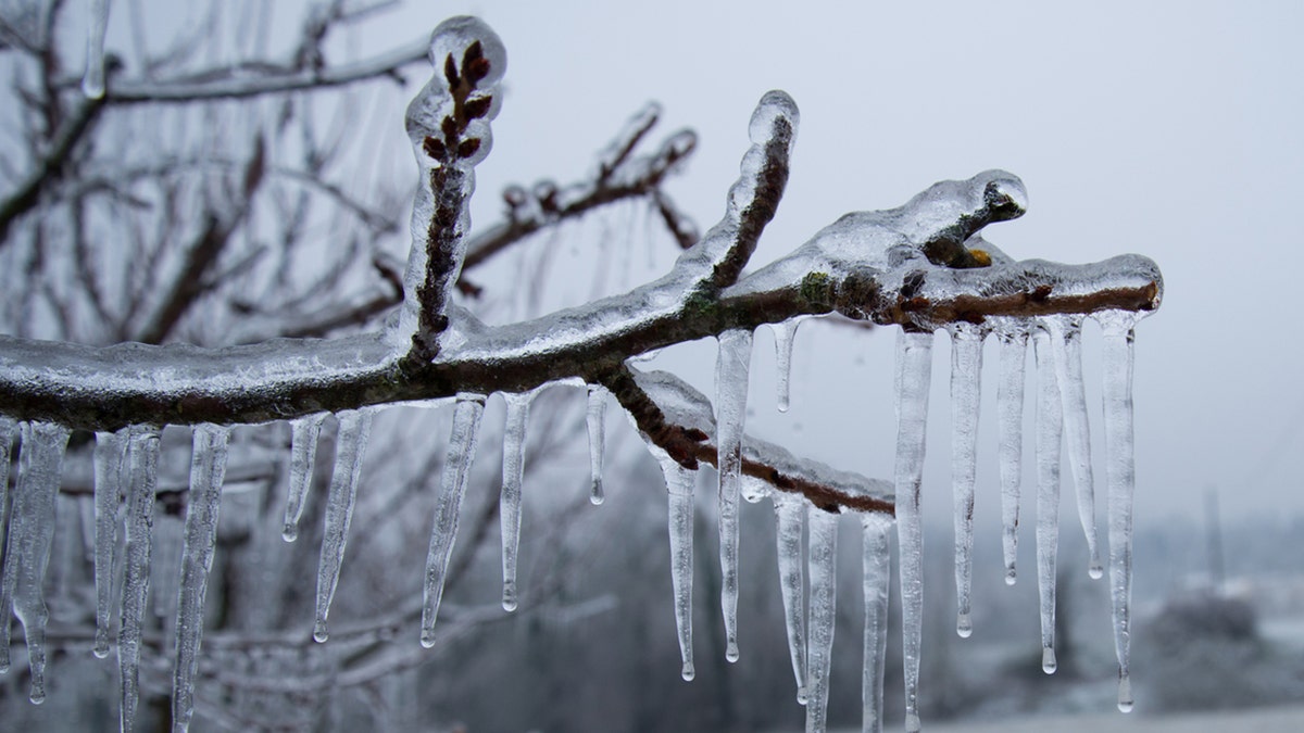 What causes freezing rain? Here's why it's so dangerous
