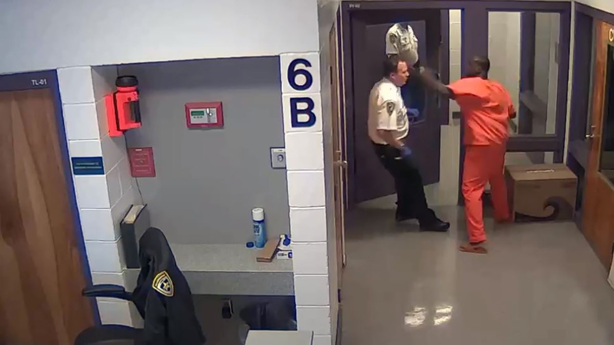 Michler was seen on camera punching the deputy in the face several times.
