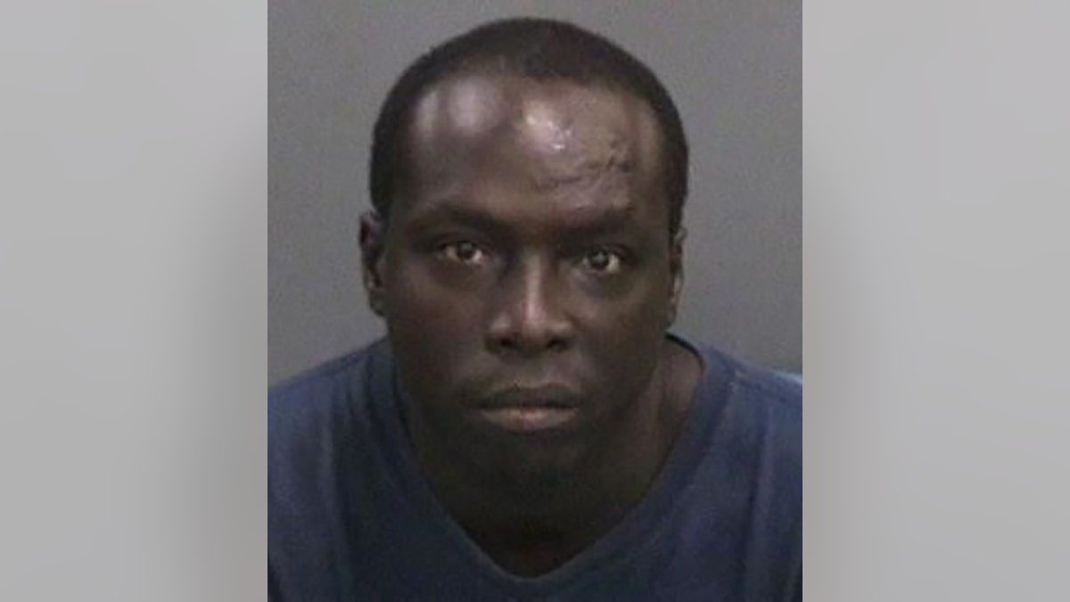 Gabriel faces new felony charges of battery on a law enforcement officer and battery by a detained person following the attack, the sheriff's office said.