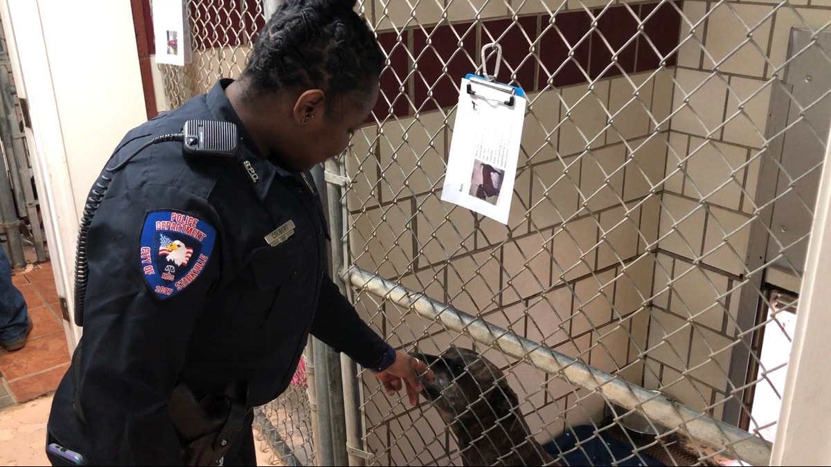 Mississippi Police Department Using Shelter To Build Relationships, Get ...