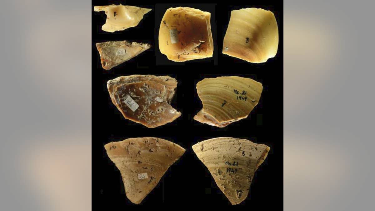 Shell tools discovered in the Grotta dei Moscerini in Italy. (Villa et al. 2020 PLOS ONE)