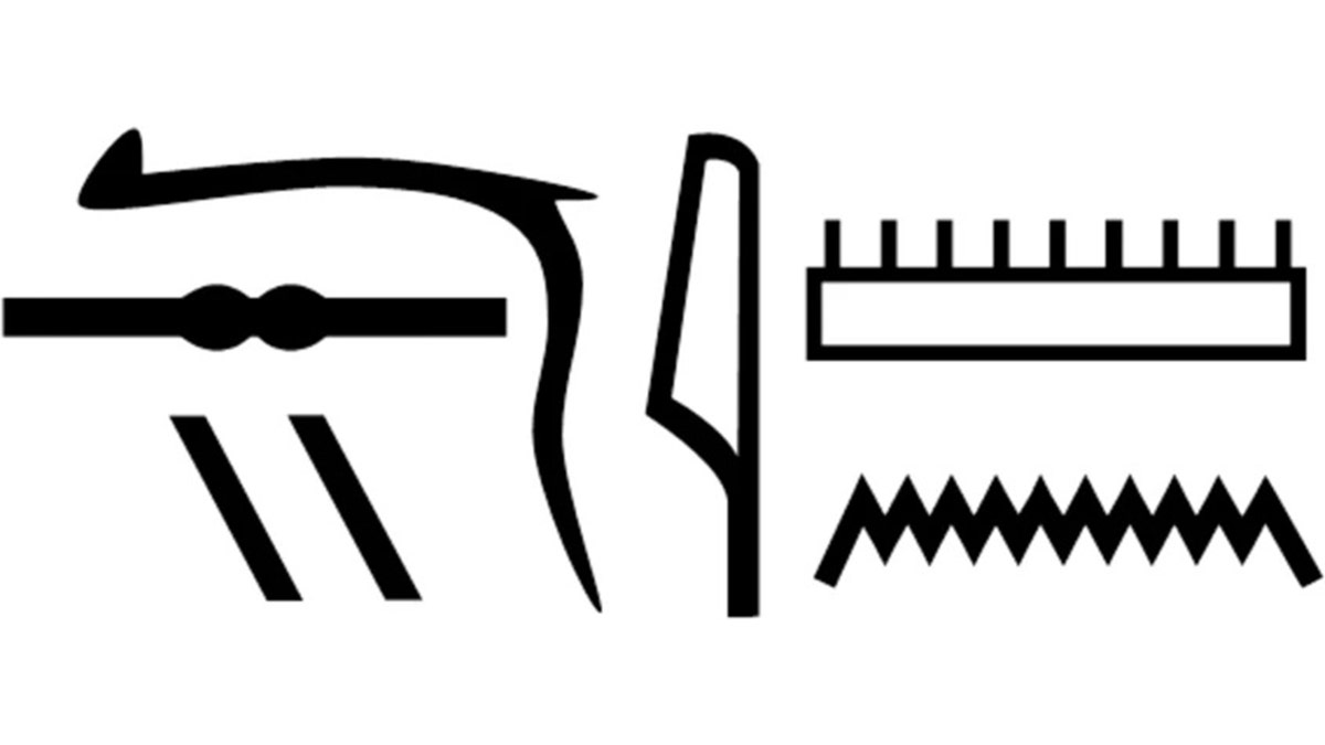 Nesyamun’s name in hieroglyphs as shown in his coffin inscriptions. (Scientific Reports)