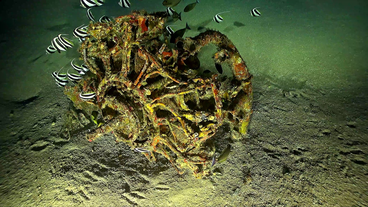 The plane's engine resting on the seabed. (Scripps Institution of Oceanography at the University of California San Diego/RV Petrel/Vulcan Inc./Project Recover)