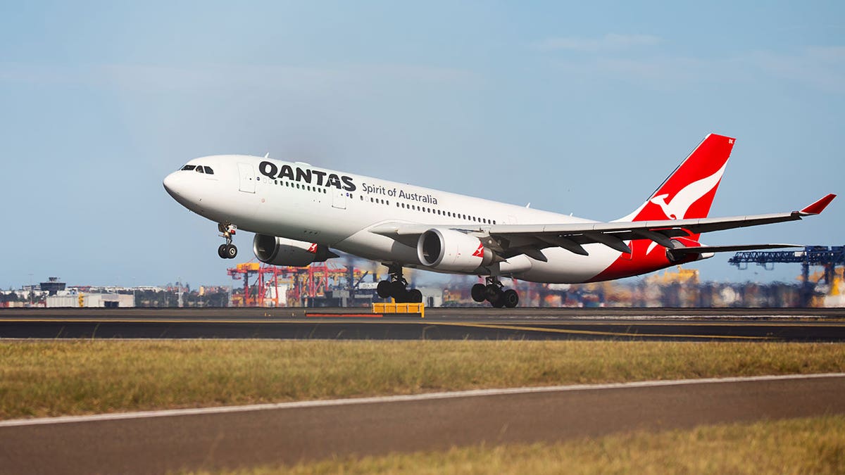 Kay Newman launched a Change.org petition in order to urge Qantas to change its “animal care standards and procedures to prevent any more avoidable deaths.” The petition had nearly 70,000 signatures as of Thursday morning.