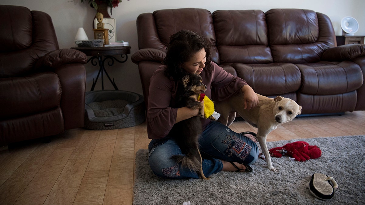 PHOENIX, ARIZONA - JULY 4: Ruby Torres plays with her dogs Angel and Dora in her apartment in Phoenix, Arizona on July 4, 2018. She was given custody of Angel, the larger of the two dogs, during her divorce. She said the dogs have been very comforting for her throughout her cancer treatments, the divorce and the fight over the fate of the embryos. (Photo by Carolyn Van Houten/The Washington Post via Getty Images)