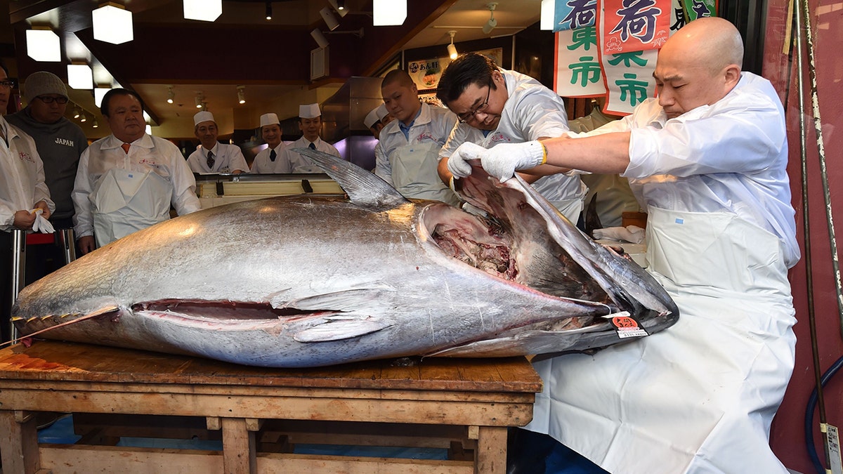 The fish he purchased was caught off the Aomori region of northern Japan.