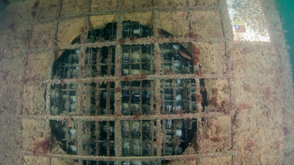 Crusoe Treasure's wines are submerged 65 feet beneath the sea; the bottles spend up to 18 months under the waves with starfish and crabs for company.