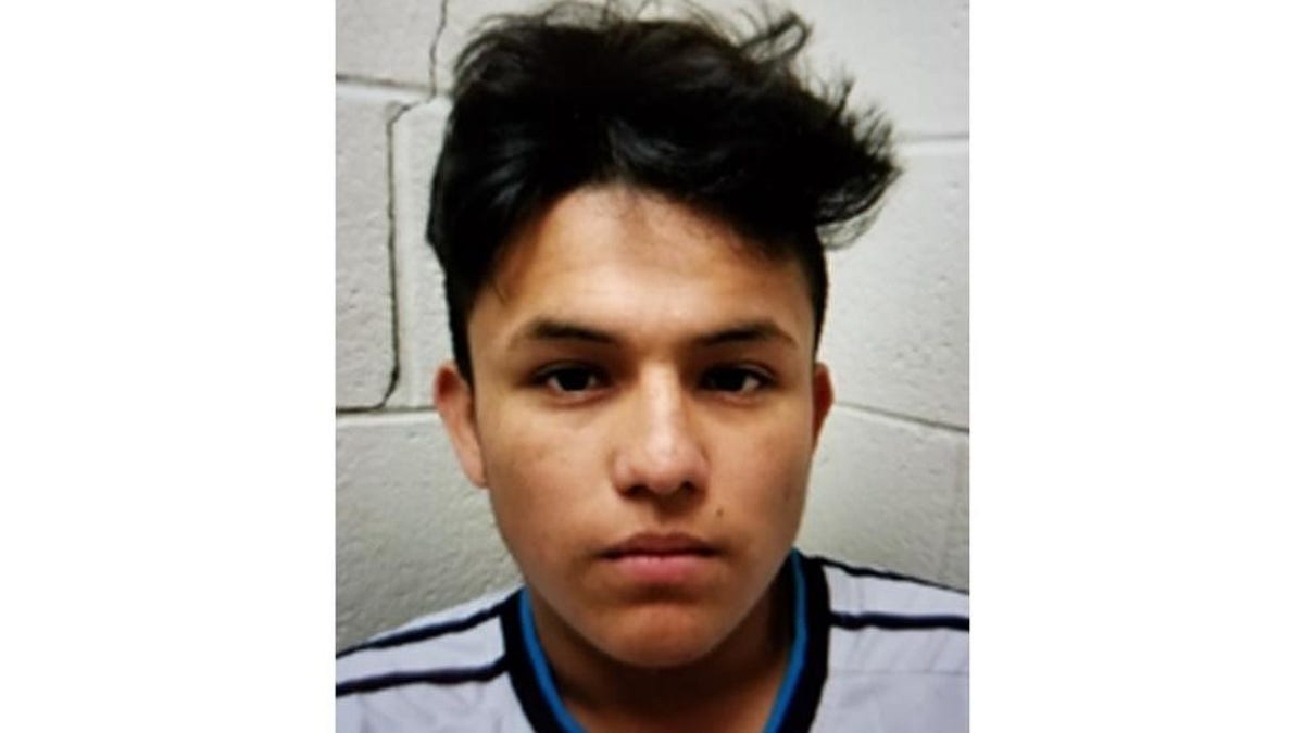 Josue Fuentes-Ponce, 17, was sentenced to life in prison on Monday with all but 50 years suspended for his involvement in the murder of a 14-year-old girl in Maryland last April.