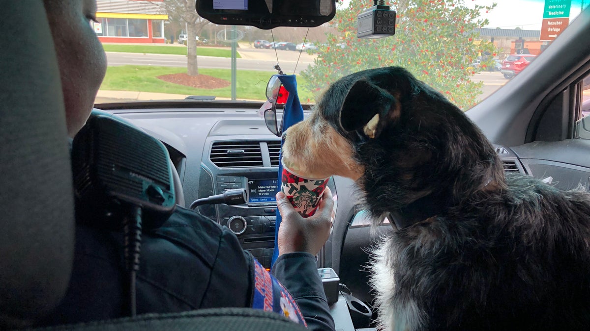 Starkville Community Relations Officer, Angelica Colbert feeds her dog for the day a puppuchino. Colbert is one of the department's officers trying to build positive community relationships, while getting shelter dogs adopted through the Oktibbeha County Humane Society's "Dogs Day Out" program. (Fox News/Charles Watson)