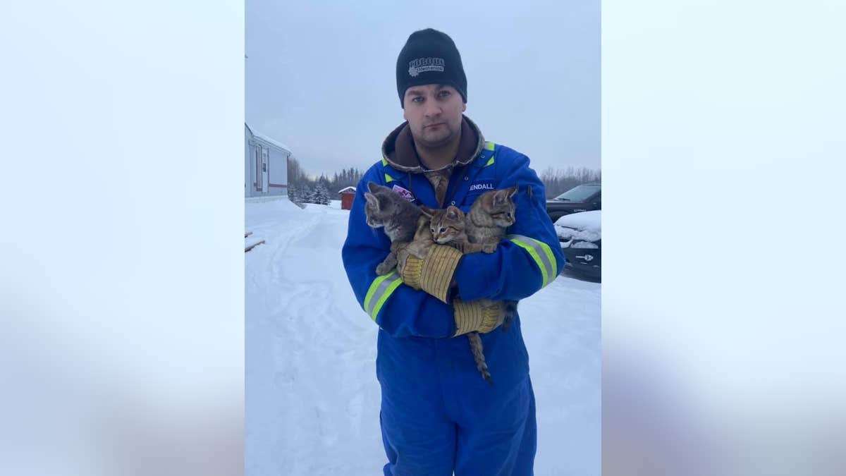 Kendall Diwisch, who found the kittens, reported an update that all three of the kittens are now thriving.