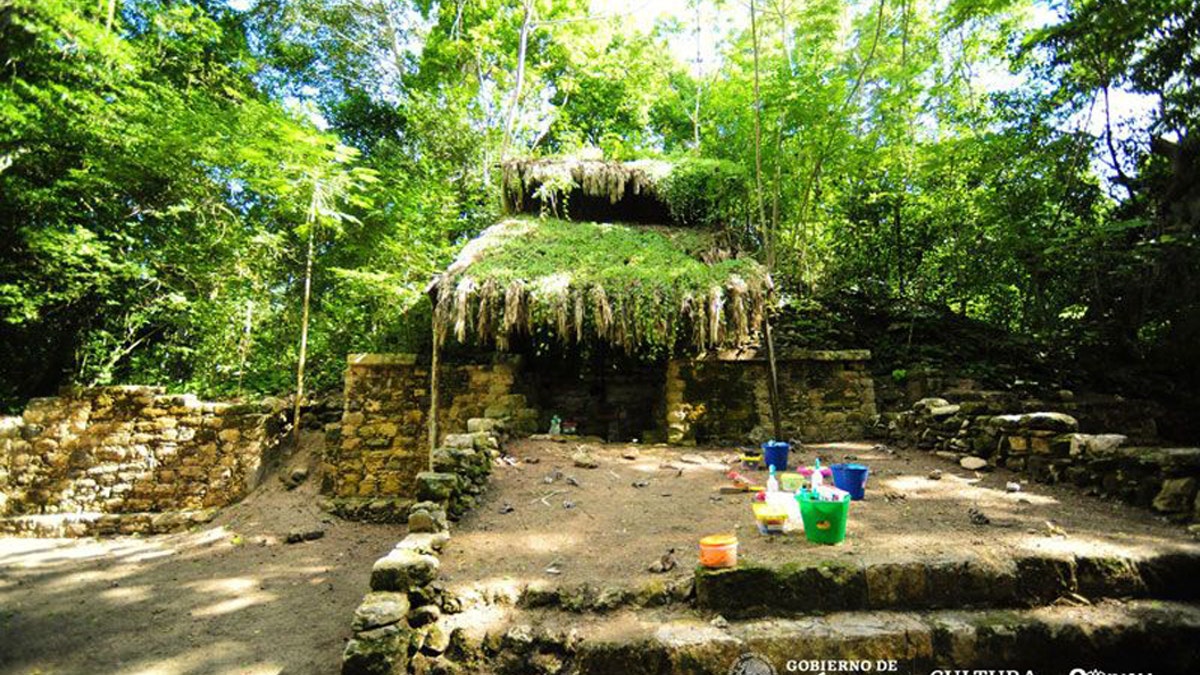 Archaeologists had some trees removed so that the palace excavation could go forward. Now, scientists may plant new trees to protect the delicate ruins. (Credit: Mauricio Marat/INAH)