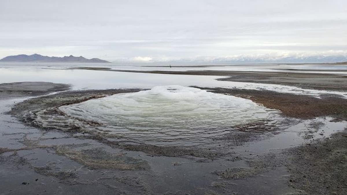 Mirabilite deposits have been found beneath the waters of the Great Salt Lake before, but this is the first time the mineral has formed exposed mounds above the surface. (Utah Geological Survey)