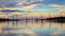 Zimbabwe park rangers overpowered by poachers during arrest found drowned in lake